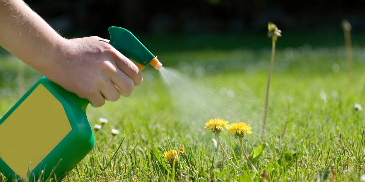 Распыление химических препаратов