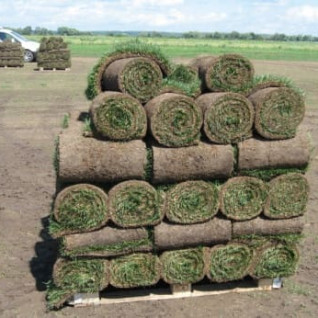 Производство газонов - 7